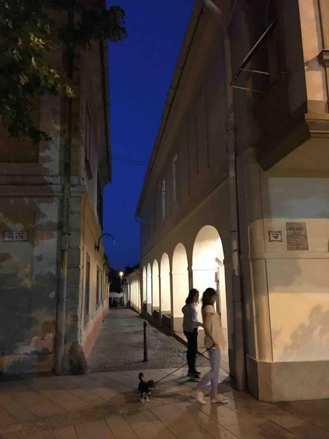 Arkadia Apartman Pápa Exterior foto